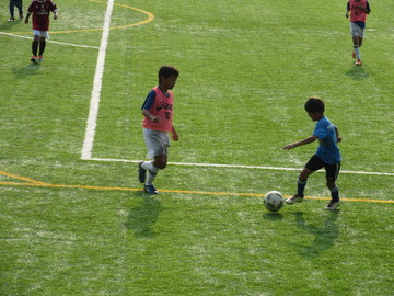 IMG_0718.JPG